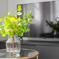 Coliving in North End - Boston, Boston