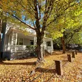 1 bedroom apartment for rent in Capital District - Central Raleigh, Raleigh