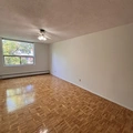 1 bedroom apartment for rent in Sandy Hill - Central Ottawa, Ottawa