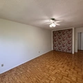 1 bedroom apartment for rent in Sandy Hill - Central Ottawa, Ottawa