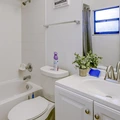 Coliving in Sulphur Springs - North Tampa, Tampa