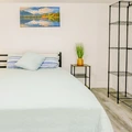 Coliving in Sulphur Springs - North Tampa, Tampa