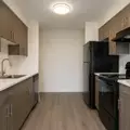 1 bedroom apartment for rent in Downtown Dallas - Ne Dallas, Dallas