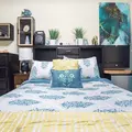 Coliving in Capital View - SE DC, Washington DC