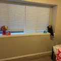 Coliving in East Arlington - Arlington, Dallas
