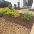 Coliving in Southeast Raleigh - South Raleigh, Raleigh