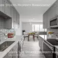 3 bedrooms apartment for rent in Bronzeville - Central, Chicago