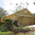 4 bedrooms apartment for rent in Wesley Chapel - North Tampa, Tampa