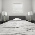 Coliving in Largo - Clearwater-St. Petersburg, Tampa