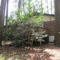 Coliving in Fairmont - Central Raleigh, Raleigh