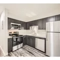 1 bedroom apartment for rent in Harvey Park - South Denver, Denver