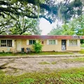 1 bedroom apartment for rent in University - North Tampa, Tampa