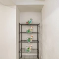 Coliving in Hogan - Southside, Jacksonville