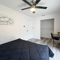Co-living en Clearwater - Clearwater-St. Petersburg, Tampa