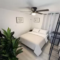 Coliving in Clearwater - Clearwater-St. Petersburg, Tampa