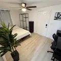 Coliving in Clearwater - Clearwater-St. Petersburg, Tampa