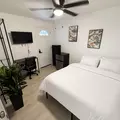 Coliving in Clearwater - Clearwater-St. Petersburg, Tampa