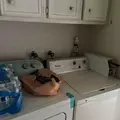 Coliving in Westchase - West Houston, Houston