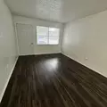 1 bedroom apartment for rent in Egypt Lake-Leto - North Tampa, Tampa