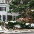 Coliving in Woodley Park - NW DC, Washington DC