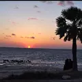 Coliving in Clearwater - Clearwater-St. Petersburg, Tampa