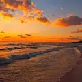 Coliving in Clearwater - Clearwater-St. Petersburg, Tampa
