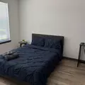 Coliving in East Houston - Ne Houston, Houston