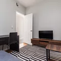 Coliving in Prospect Lefferts Gardens - Brooklyn, New York