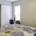 Coliving in Lowry Park North - North Tampa, Tampa