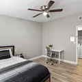 Coliving in Las Vegas - Las Vegas, Las Vegas