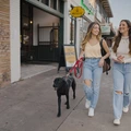 Coliving in Old West Austin - Central Austin, Austin