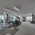 Coliving in Old West Austin - Central Austin, Austin