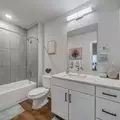 Coliving in Old West Austin - Central Austin, Austin