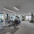 Coliving in Old West Austin - Central Austin, Austin