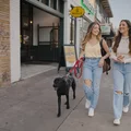 Coliving in Old West Austin - Central Austin, Austin