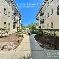 1 bedroom apartment for rent in Palma Ceia - South Tampa, Tampa