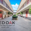 Studio Apartment for rent in Hollywood Hills - Central Los Angeles, Los Angeles