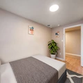 Coliving in Allendale - Se Houston, Houston