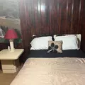 Coliving in Clayton County GA - South Atl, Atlanta