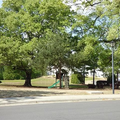 Coliving in University City South - North Charlotte, Charlotte