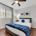 Coliving in Plano - North Dfw, Dallas