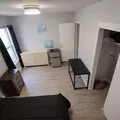 Coliving in Temple Terrace - North Tampa, Tampa