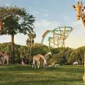 Coliving in Temple Terrace - North Tampa, Tampa