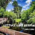 Coliving in Temple Terrace - North Tampa, Tampa