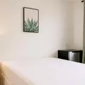 Coliving in Las Vegas - Las Vegas, Las Vegas