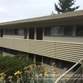 1 bedroom apartment for rent in Interbay - Central Seattle, Seattle