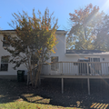 Coliving in Harris - Houston - North Charlotte, Charlotte