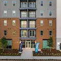 1 bedroom apartment for rent in Hyde Park Tampa - Central Tampa, Tampa