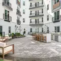 1 bedroom apartment for rent in Hyde Park Tampa - Central Tampa, Tampa