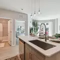 1 bedroom apartment for rent in Hyde Park Tampa - Central Tampa, Tampa